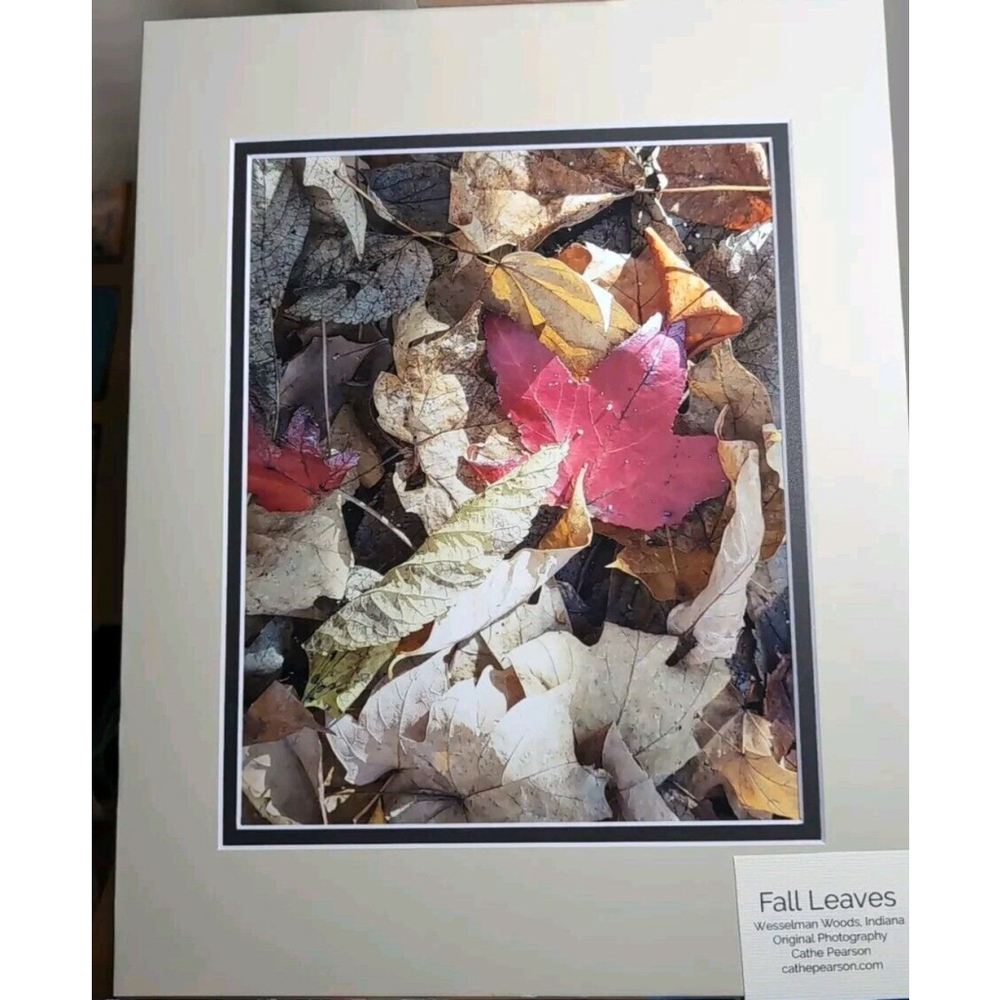 Fall Leaves Original Photo Print, Wesselman Woods, Evansville, IN 8x10 Matted